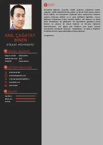 Ziraat Mühendisi Cv Örnekleri cv indir